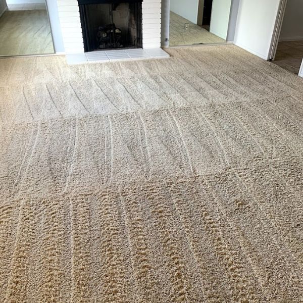 Carpet Cleaning Results